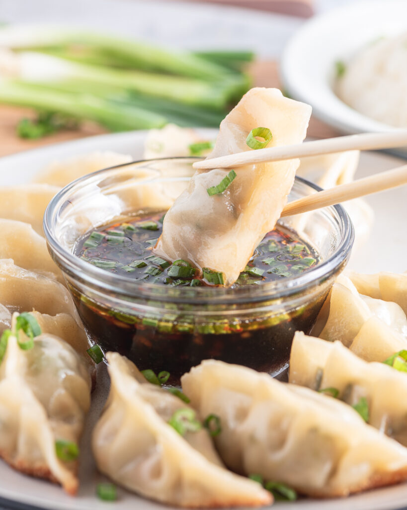 Homemade Dumplings with Dipping Sauce the kitchen bachelor